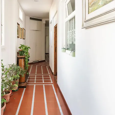San Lorenzo By San Collection 3*